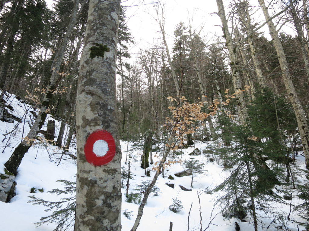 Održana obuka za markaciste PSRS