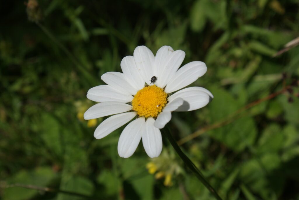 Proljeće našeg društva u tri slike